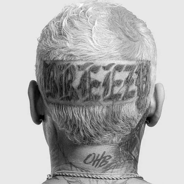 Stream Chris Brown's New Album 'Breezy'